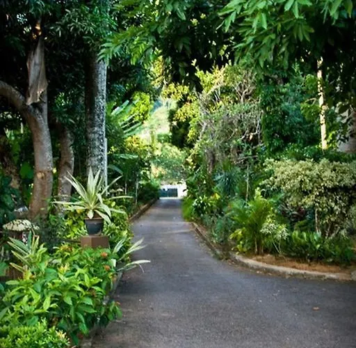 De Roses Maison d'hôtes Beau Vallon (Mahe)